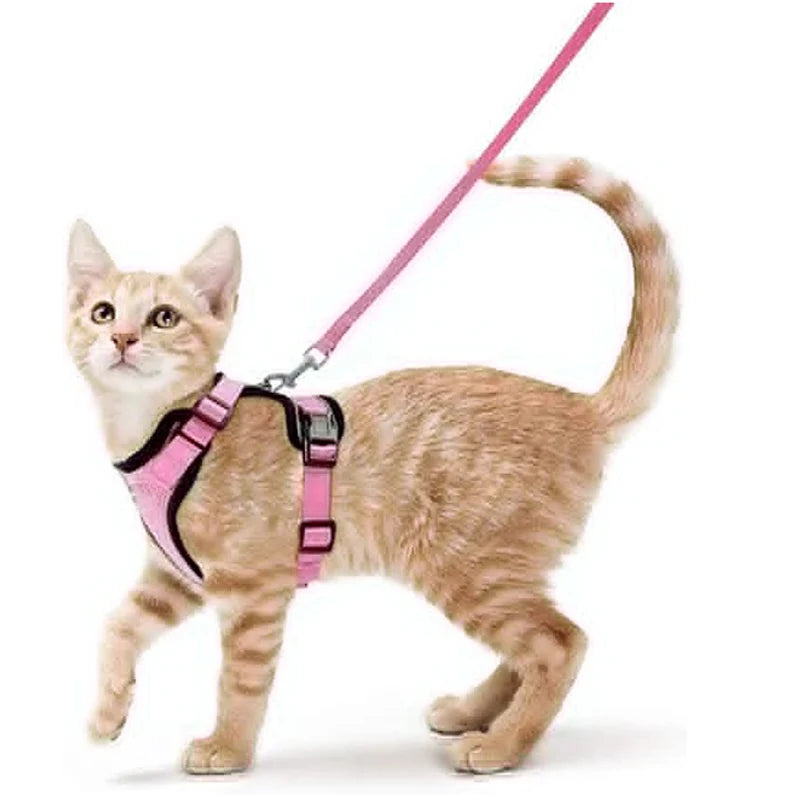 Cat Harness and Leash for Walking- Escape Proof and Soft Adjustable