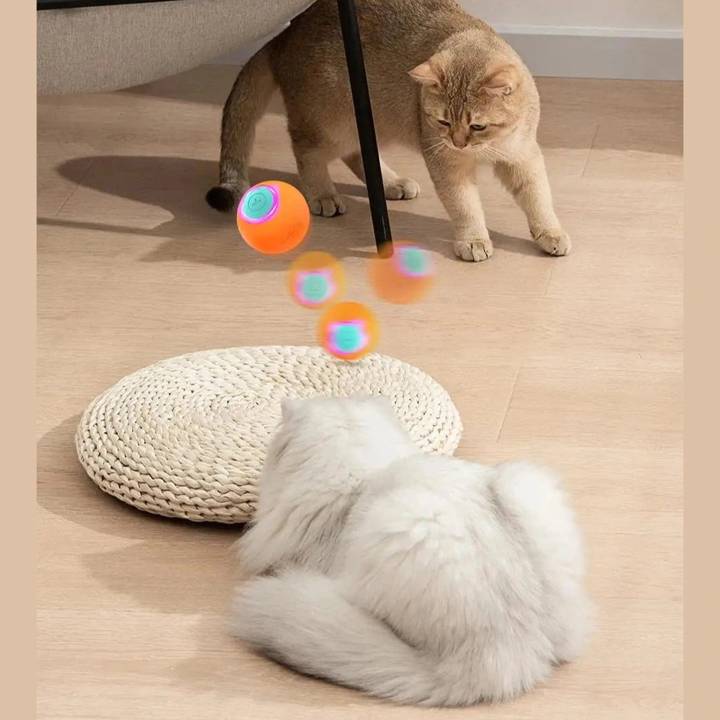 Automatic Cat Bouncing Ball - Energetic and Smart ZenTail Store