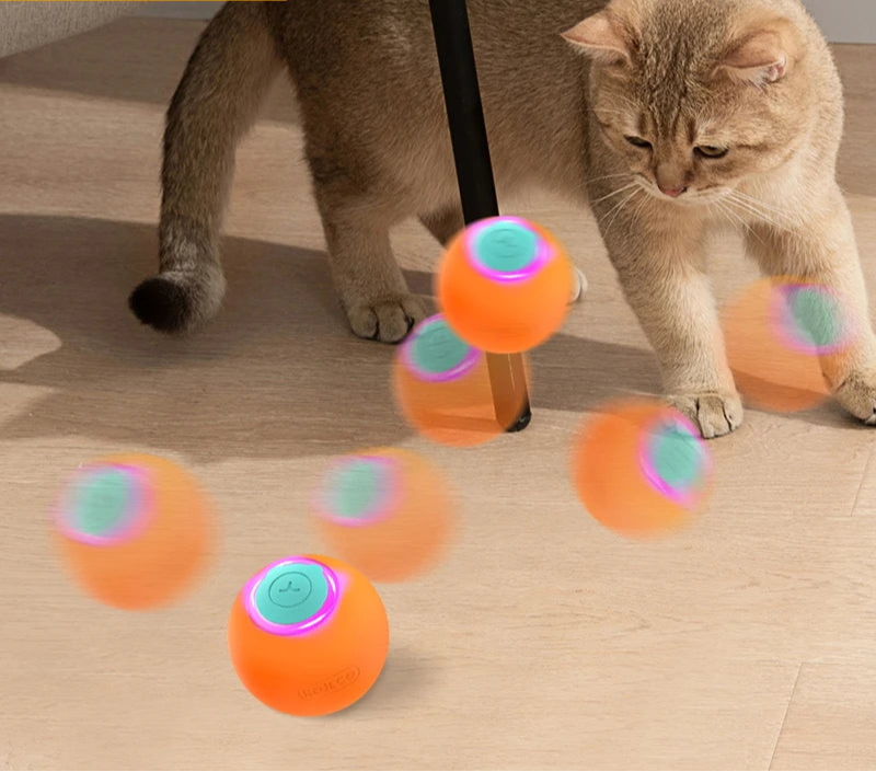 Automatic Cat Bouncing Ball - Energetic and Smart