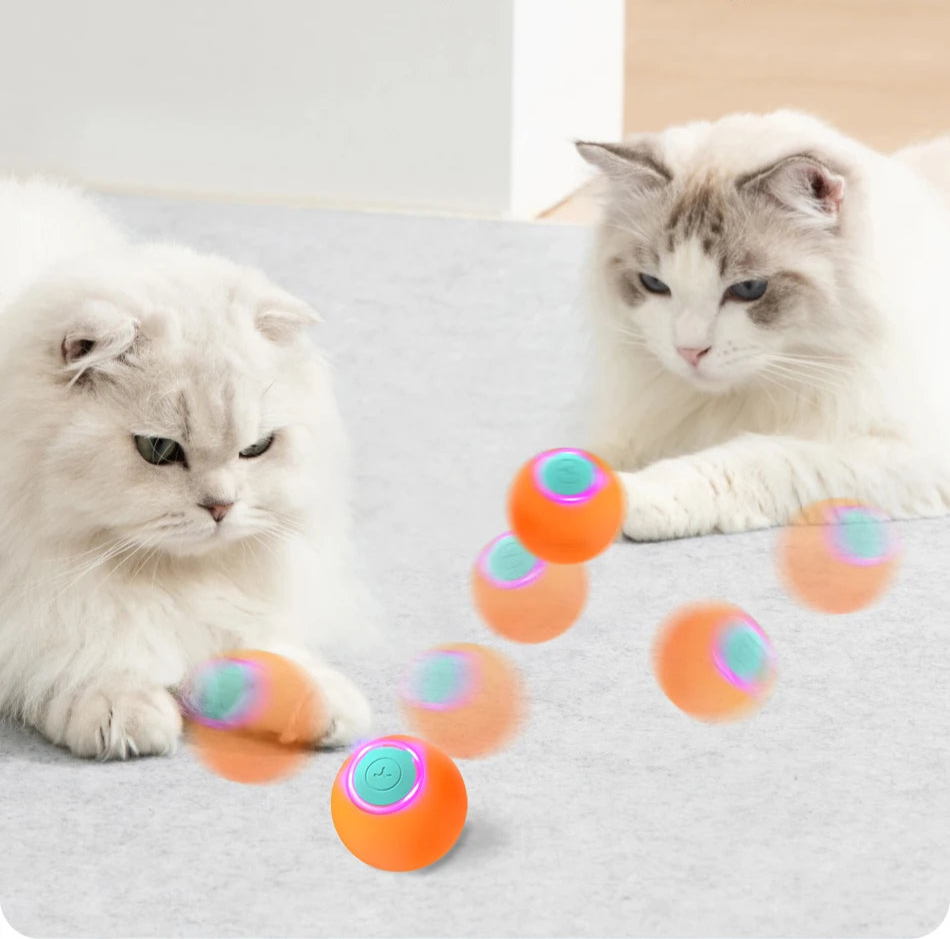 Automatic Cat Bouncing Ball - Energetic and Smart