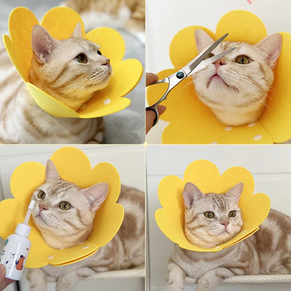 Soft Felt Recovery Collar for Cats & Dogs – Anti-Lick, Anti-Bite, Post-Surgery Healing Cone