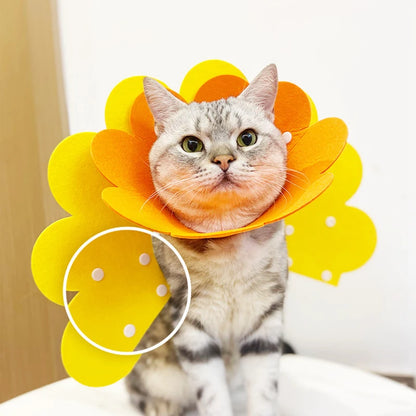 Soft Felt Recovery Collar for Cats & Dogs – Anti-Lick, Anti-Bite, Post-Surgery Healing Cone