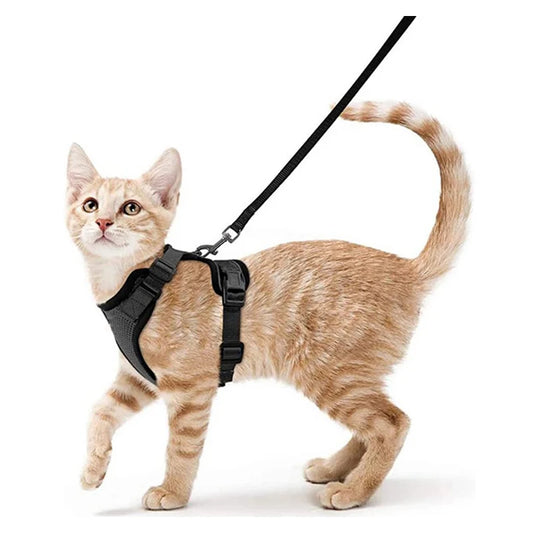 Cat Harness and Leash for Walking- Escape Proof and  Soft Adjustable