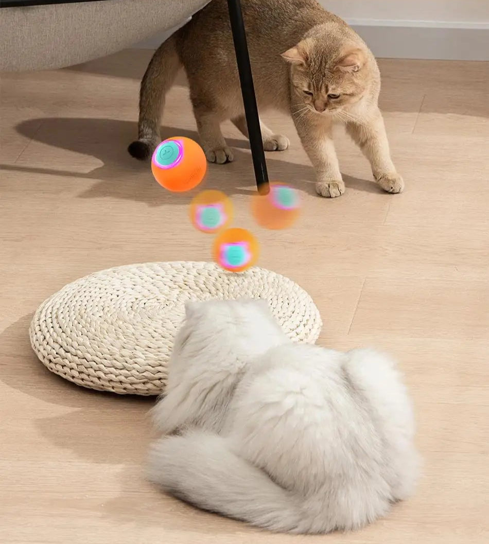 Automatic Cat Bouncing Ball - Energetic and Smart